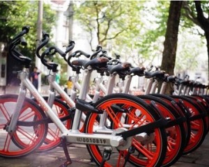 2023河南省本科一批新增招生计划征集志愿的通知